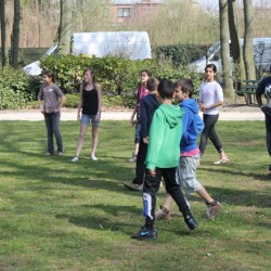 afbeelding 364 - Sportraad Zaventem 