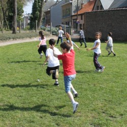 afbeelding 387 - Sportraad Zaventem 