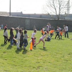 afbeelding 394 - Sportraad Zaventem 