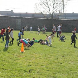 afbeelding 396 - Sportraad Zaventem 