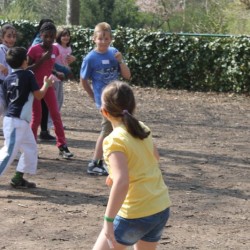 afbeelding 414 - Sportraad Zaventem 
