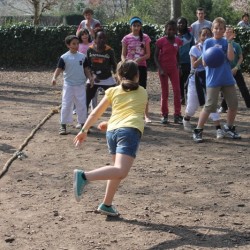 afbeelding 416 - Sportraad Zaventem 