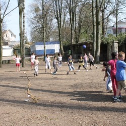 afbeelding 431 - Sportraad Zaventem 