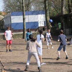 afbeelding 432 - Sportraad Zaventem 