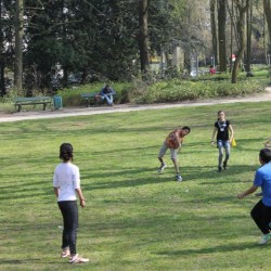 afbeelding 452 - Sportraad Zaventem 