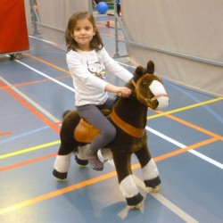 p1020409 - Sportraad Zaventem 