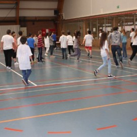 MEGA-dag