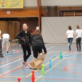 MEGA-dag