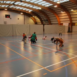 dsc 0126 - Sportraad Zaventem 