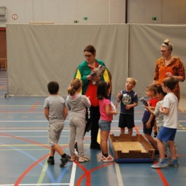 dsc 0133 - Sportraad Zaventem 