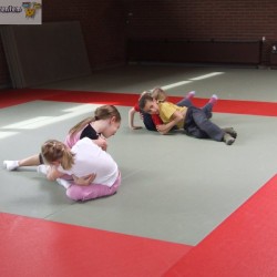 dscf1625 - Sportraad Zaventem 