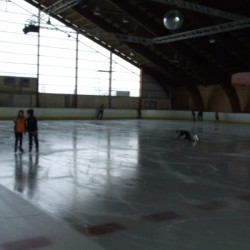 dscf2465 - Sportraad Zaventem 