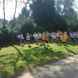 dsc 0380 - Sportraad Zaventem 