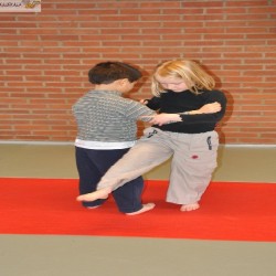 sportkampen judo 022 - Sportraad Zaventem 