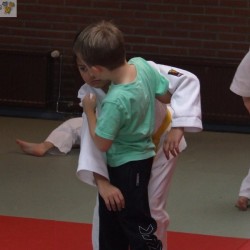 Judostage