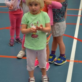 dsc 0010 - Sportraad Zaventem 