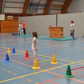 dsc 0011 - Sportraad Zaventem 