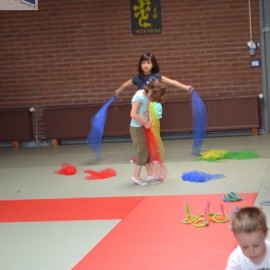 dsc 0032 - Sportraad Zaventem 