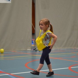 dsc 0050 - Sportraad Zaventem 