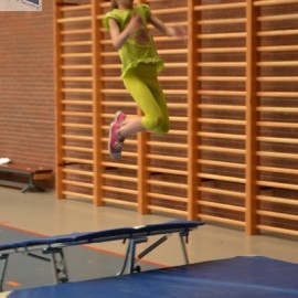 dsc 0219 - Sportraad Zaventem 