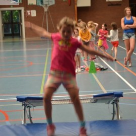 dsc 0220 - Sportraad Zaventem 