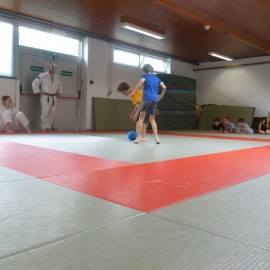 p1050866 - Sportraad Zaventem 