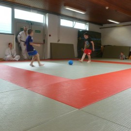 p1050868 - Sportraad Zaventem 