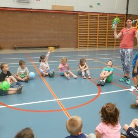 p1060178 - Sportraad Zaventem 