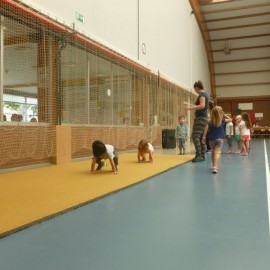 p1060202 - Sportraad Zaventem 