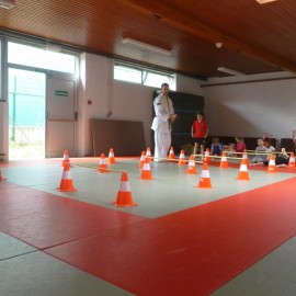 p1060216 - Sportraad Zaventem 