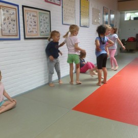 p1060218 - Sportraad Zaventem 
