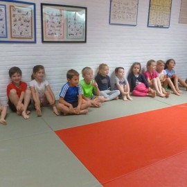 p1060220 - Sportraad Zaventem 
