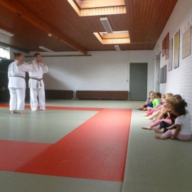 p1060222 - Sportraad Zaventem 