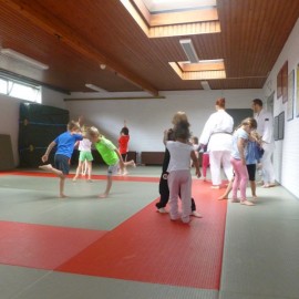p1060223 - Sportraad Zaventem 