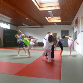 p1060224 - Sportraad Zaventem 
