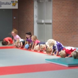 afbeelding 006 - Sportraad Zaventem 