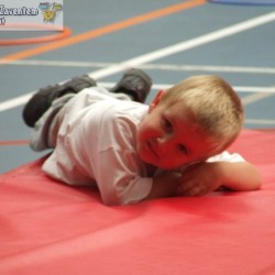 afbeelding 088 - Sportraad Zaventem 