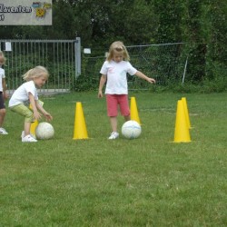 afbeelding 174 - Sportraad Zaventem 