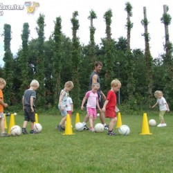 afbeelding 182 - Sportraad Zaventem 