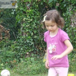 afbeelding 188 - Sportraad Zaventem 