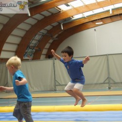 afbeelding 206 - Sportraad Zaventem 