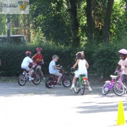 afbeelding 223 - Sportraad Zaventem 