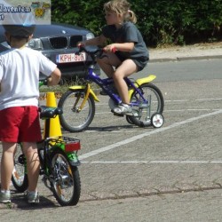 afbeelding 226 - Sportraad Zaventem 