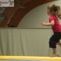 afbeelding 232 - Sportraad Zaventem 