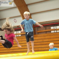 afbeelding 239 - Sportraad Zaventem 