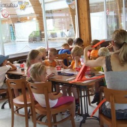 afbeelding 245 - Sportraad Zaventem 
