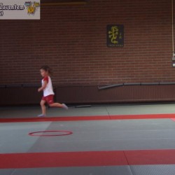 afbeelding 249 - Sportraad Zaventem 