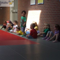 afbeelding 250 - Sportraad Zaventem 