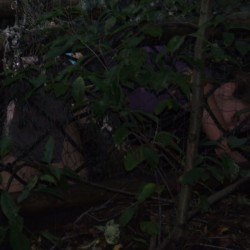 dscf3078 - Sportraad Zaventem 