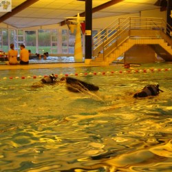 dsc04231 - Sportraad Zaventem 